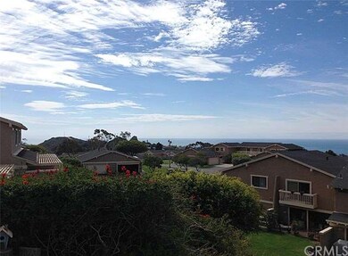 Panoramic View 1