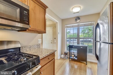 45504 Whistling Terrace unit 104, Sterling, VA 20166 - photo 7