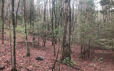 0 Satsuma Ct 672 673, Ellijay, GA 30540 - photo 3