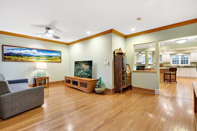 317 N Oak St, Elmhurst, IL 60126 - photo 3