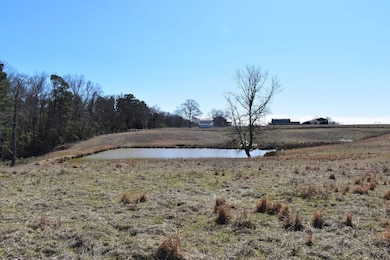 Thompson Farm Rd, Mabelvale, AR 72013 - photo 4