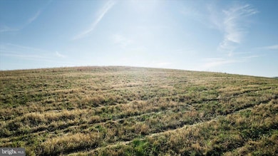 0 Orkney Grade Rd unit VASH2013132, Mount Jackson, VA 22842 - photo 3