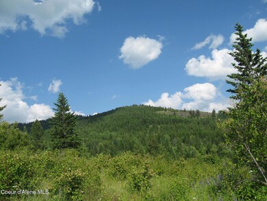 IMG_0936