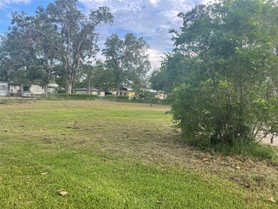 00 Austin St, Brazoria, TX 77422 - photo 3