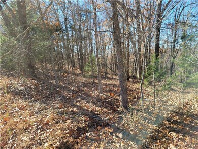 8 Acres Devils Den Rd, Winslow, AR 72959 - photo 2