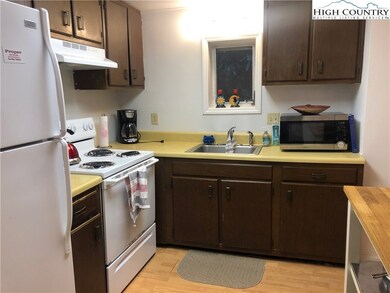 170 Trout Pond Ln unit 2, Banner Elk, NC 28604 - photo 7