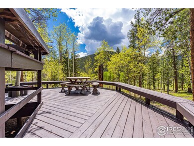 318 Arapahoe Dr, Bellvue, CO 80512 - photo 7