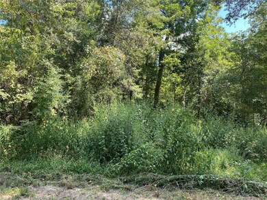 235 County Road 431, Dayton, TX 77535 - photo 3