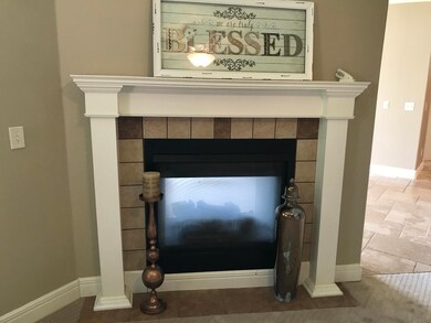 Ozark Fireplace