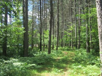ON McCarthy Lake Rd, Tomahawk, WI 54487 - photo 2