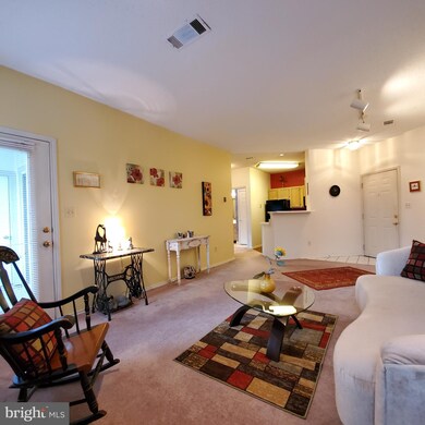 13070 Autumn Woods Way unit 103, Fairfax, VA 22033 - photo 4