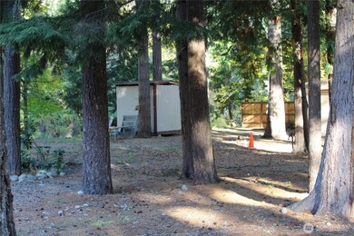 16916 Holly St SE, Yelm, WA 98597 - photo 7