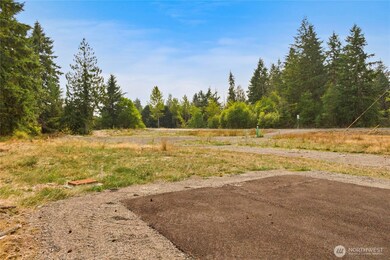 208th 231st St E, Spanaway, WA 98387 - photo 2