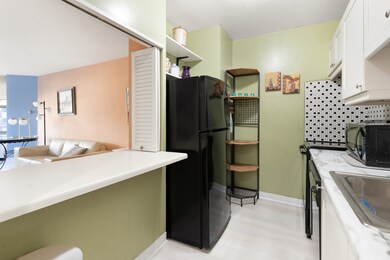 535 N Michigan Ave unit 1710, Chicago, IL 60611 - photo 7