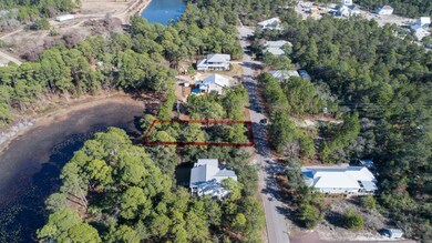 East View Pond/ Spotted Dolphin