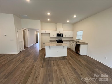 4415 Family Trail Dr, Indian Land, SC 29707 - photo 2