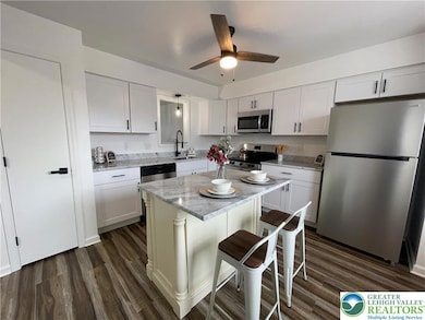 241 Flint Hill Rd, Alburtis, PA 18011 - photo 3