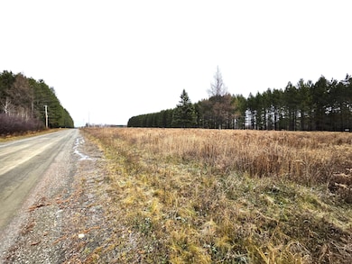 Looking North along McIntyre Rd