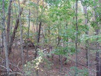 0 0 Oakland Hills, Berkeley Springs, WV 25411 - photo 7