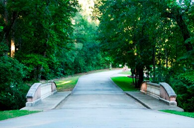 22509 Rosehurst Dr, Tomball, TX 77377 - photo 5