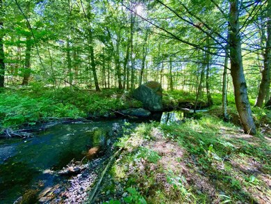 217 Cutts Rd, Newport, NH 03773 - photo 4