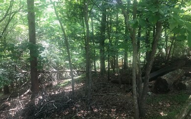 Additional View