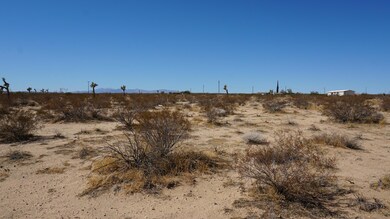 DSC00256