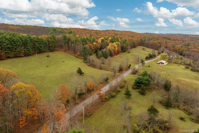 2021-2071 Potic Mountain Rd, Earlton, NY 12051 - photo 6