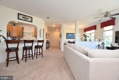 13729 Currant Loop, Gainesville, VA 20155 - photo 3