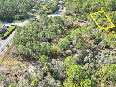 209 Sunnyside Dr, Lake Placid, FL 33852 - photo 4