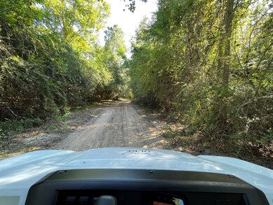 6880 Hall Rd, Coolidge, GA 31738 - photo 7