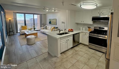 11710 Old Georgetown Rd unit 1206, North Bethesda, MD 20852 - photo 2