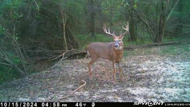 N County Rd 225 W, Petersburg, IN 47567 - photo 7