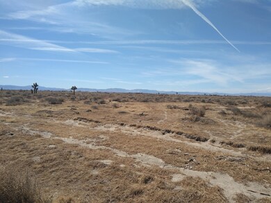 0 105th St East Vic Ave E10 unit 21002404, Lancaster, CA 93535 - photo 2