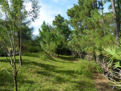 Large backyard