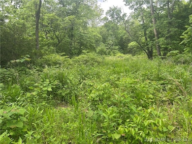 0 Kolb Hollow Rd, Climax Springs, MO 65324 - photo 2