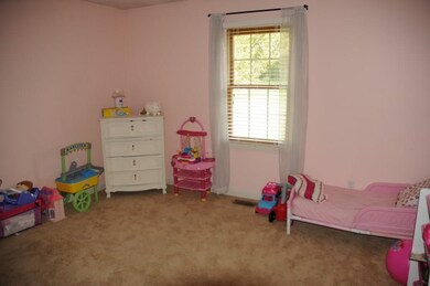 7632 Hyland Meadows Dr, Knightstown, IN 46148 - photo 7