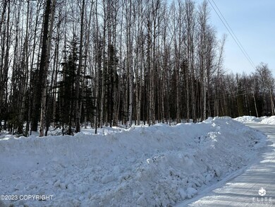 Road in Front of Lot