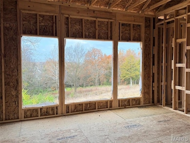 2421 Fiddlers Close Rd unit 108 STB, St. Johns Township, MO 63090 - photo 5