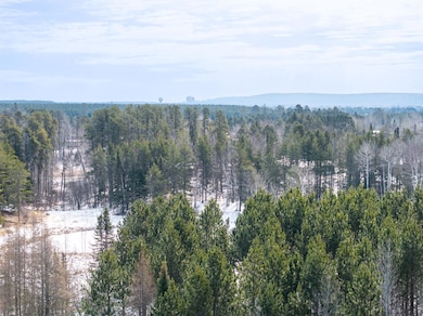 8308 Highway 21 N, Babbitt, MN 55706 - photo 4