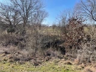 2105 County Road 4698, Boyd, TX 76023 - photo 6