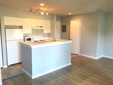 4879 Via Palm Lakes unit 619, West Palm Beach, FL 33417 - photo 3