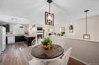 8433 Wheatgrass Cir, Parker, CO 80134 - photo 3