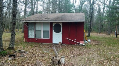 3138 S Woodin Dr, Baldwin, MI 49304 - photo 4