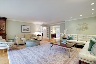 4 Kimson Ct, Manhasset, NY 11030 - photo 6