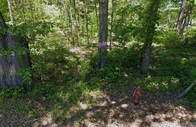 0 Vine St, Traskwood, AR 72167 - photo 4