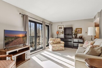 6615 Lake Shore Dr S unit 403, Richfield, MN 55423 - photo 3