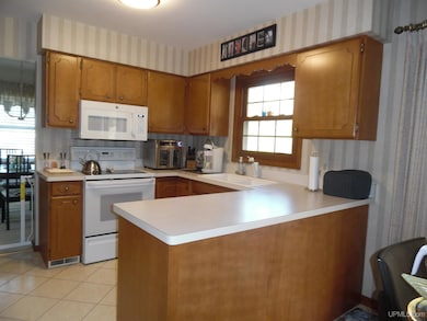 1235 Minnesota St, Hancock, MI 49930 - photo 4