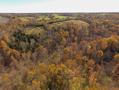 0 Kidwell Rd unit LotWP001, Ewing, KY 41039 - photo 4