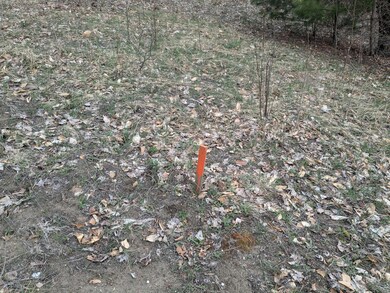orange stakes on south border line